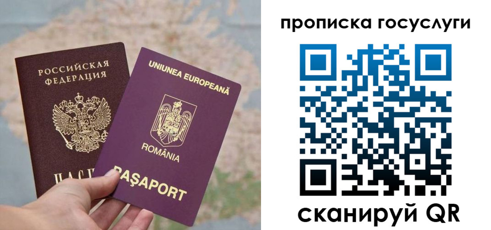 прописка паспорт в Тамбове